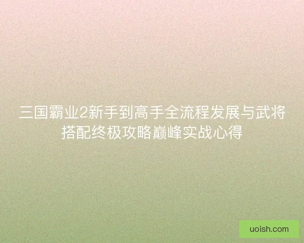 三国霸业2新手到高手全流程发展与武将搭配终极攻略巅峰实战心得