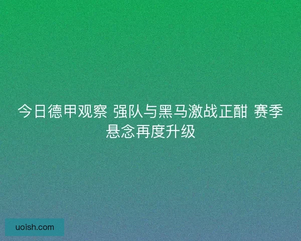 今日德甲观察 强队与黑马激战正酣 赛季悬念再度升级