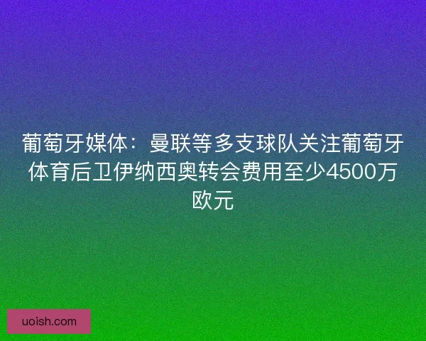 葡萄牙媒体：曼联等多支球队关注葡萄牙体育后卫伊纳西奥转会费用至少4500万欧元