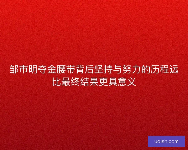 邹市明夺金腰带背后坚持与努力的历程远比最终结果更具意义