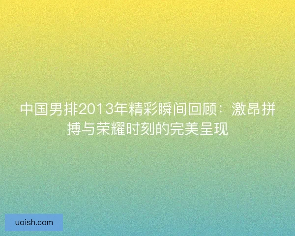 中国男排2013年精彩瞬间回顾：激昂拼搏与荣耀时刻的完美呈现